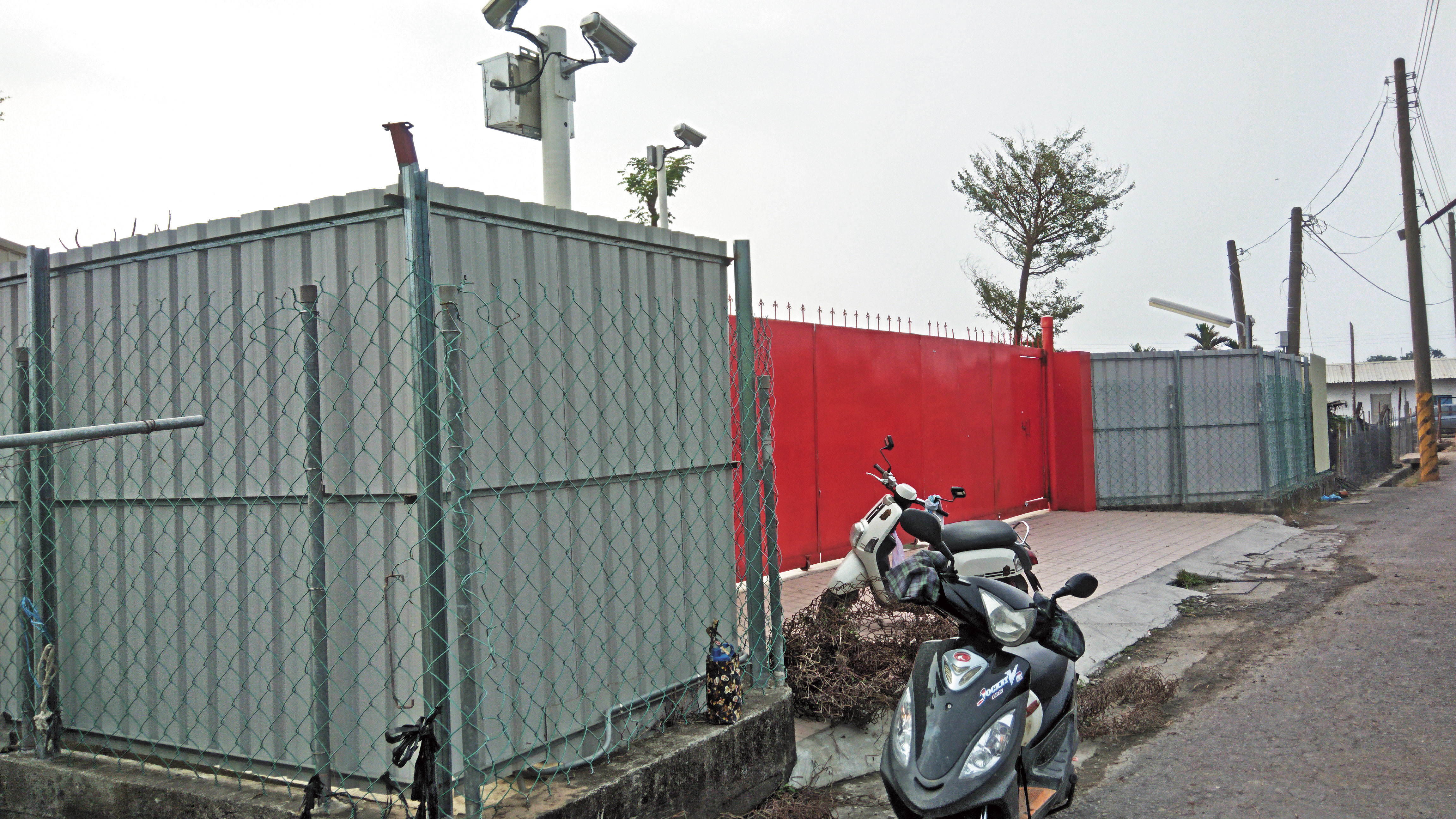 收容犬隻數目膨風　高雄市關懷流浪動物協會爆離譜帳冊