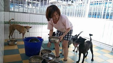 高雄市關懷流浪動物協會理事長王小華（原名王春金），從事動物保護工作20年，是知名動保人士。（取自王春金臉書）