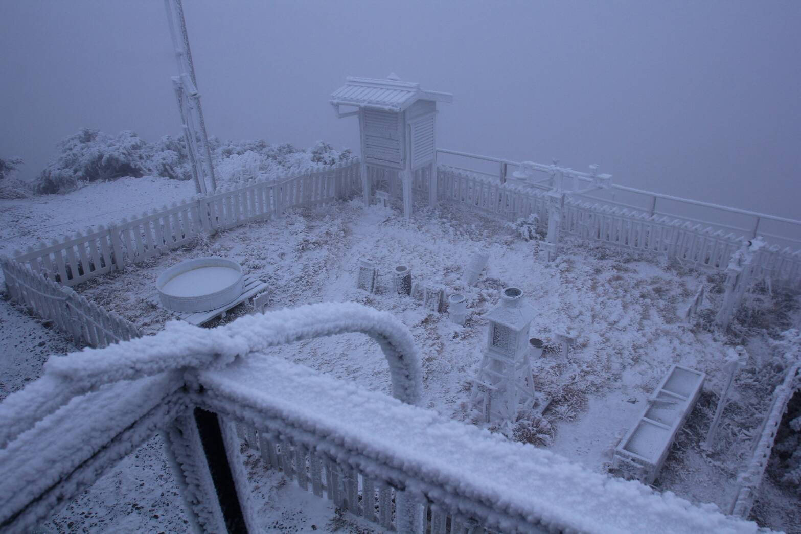 今晨玉山飄雪　65年來第二晚