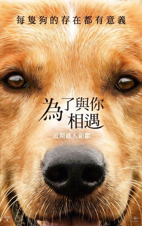 《為了與你相遇》官方海報