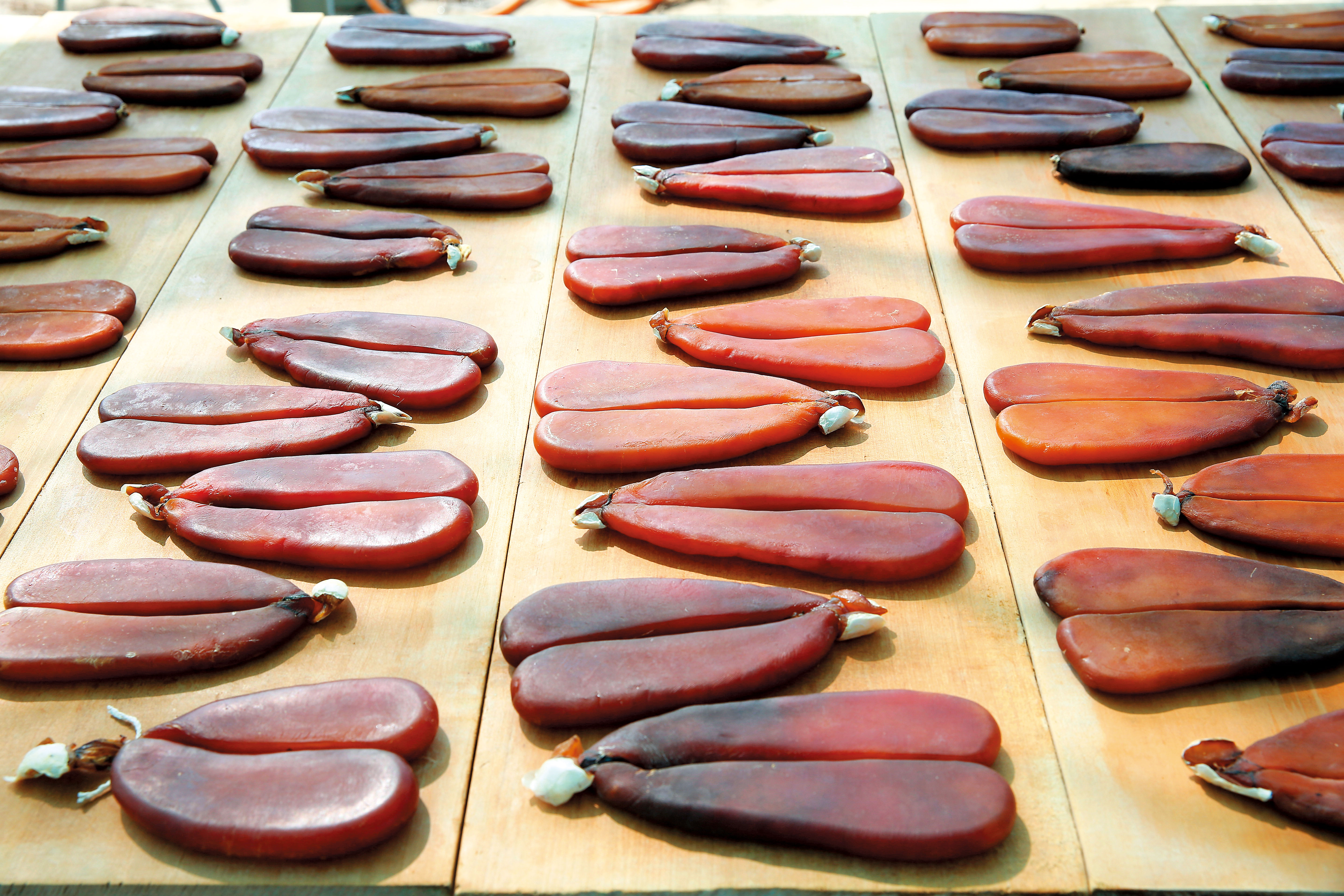 【呷好過年】為何過年流行送烏魚子？