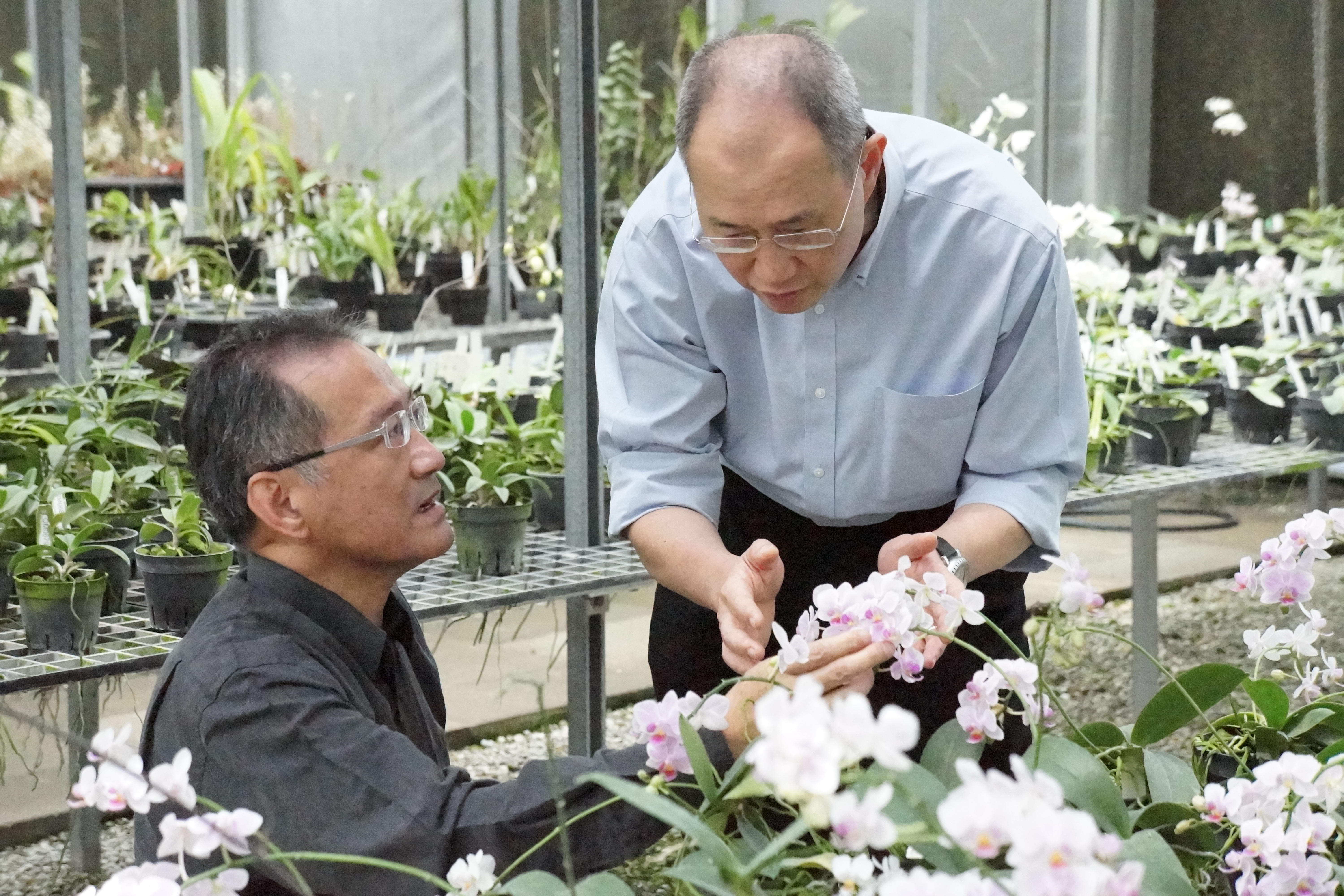 【辜成允驟逝】養蒼蠅、崇拜司馬光　辜成允的另一面