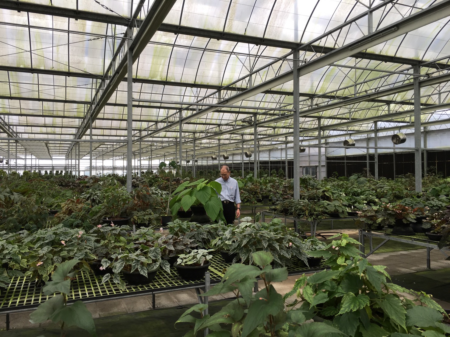 辜成允生前推動成立的「辜嚴倬雲植物保種中心」,立志打造現代版的「諾亞方舟」。(台泥提供)
