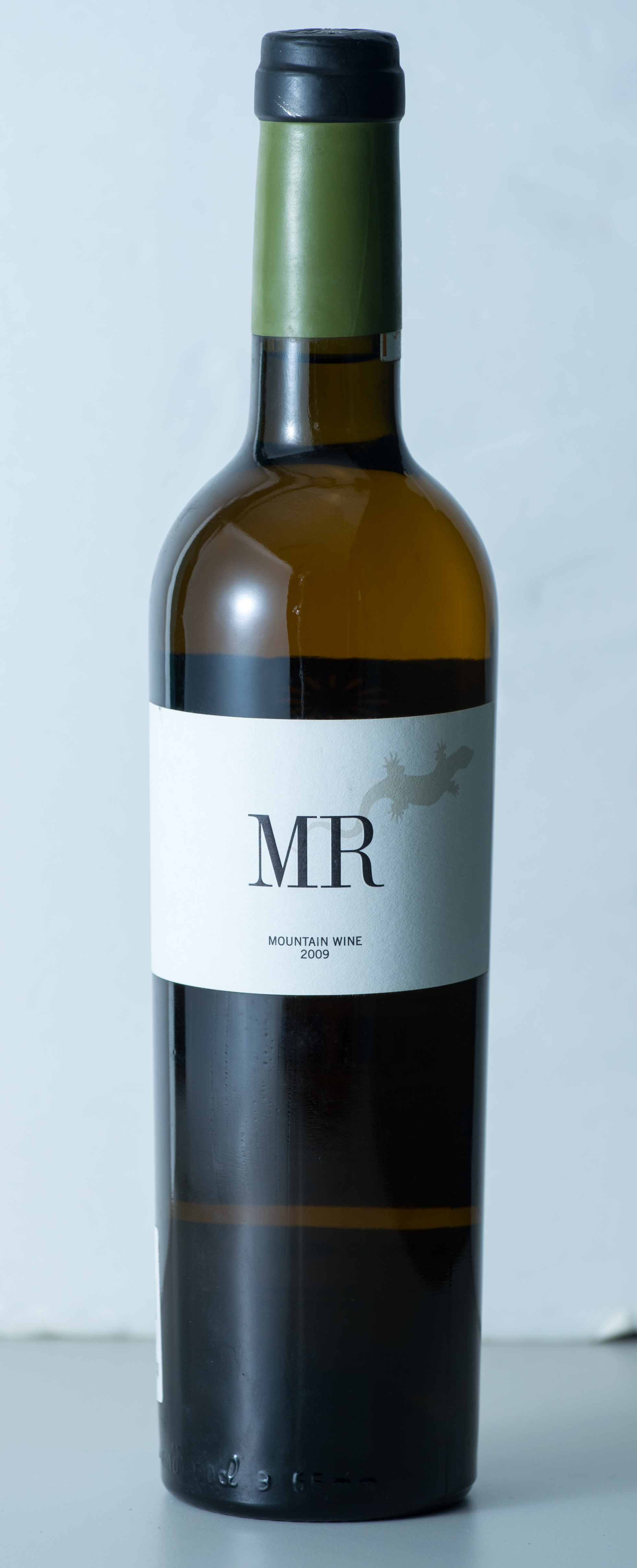 Telmo MR 2009