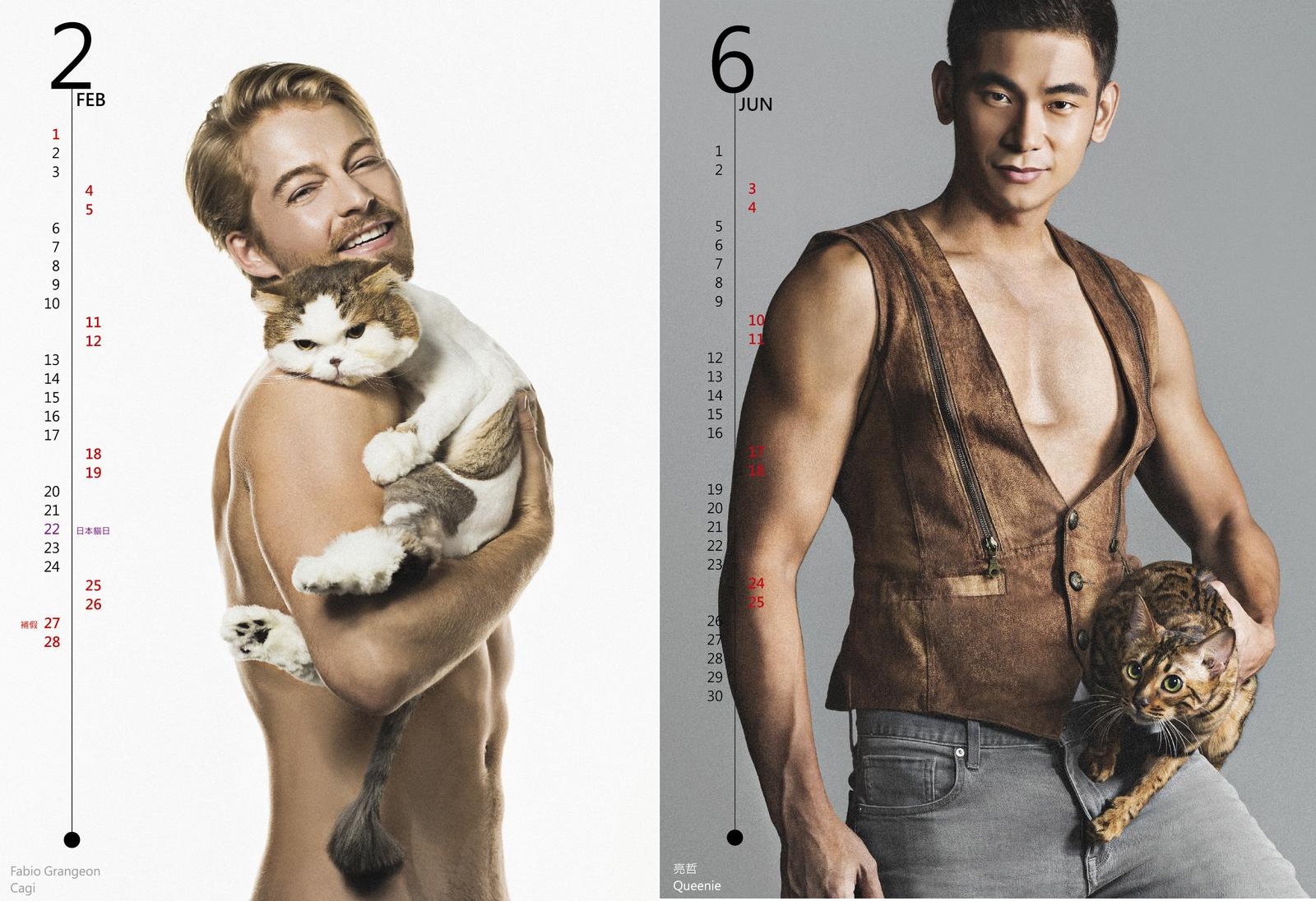 法比歐、亮哲脫了　一切都是為了浪貓