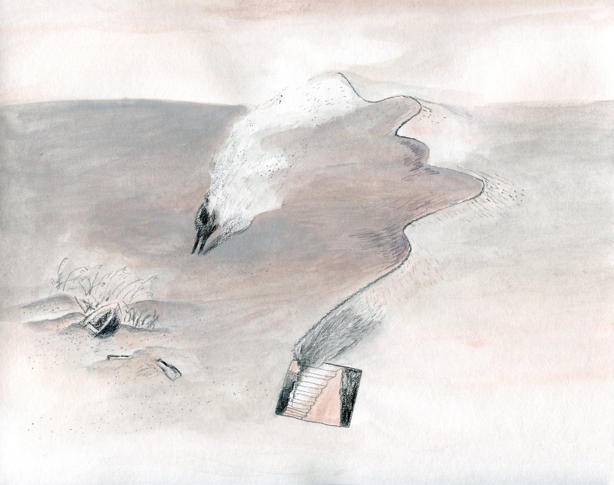 【詩】沙丘那邊來的信　楊佳嫻