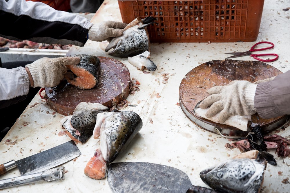 魚貨廠商捐贈大量鮭魚頭，廚師現場處理，熬成魚頭白菜滷。