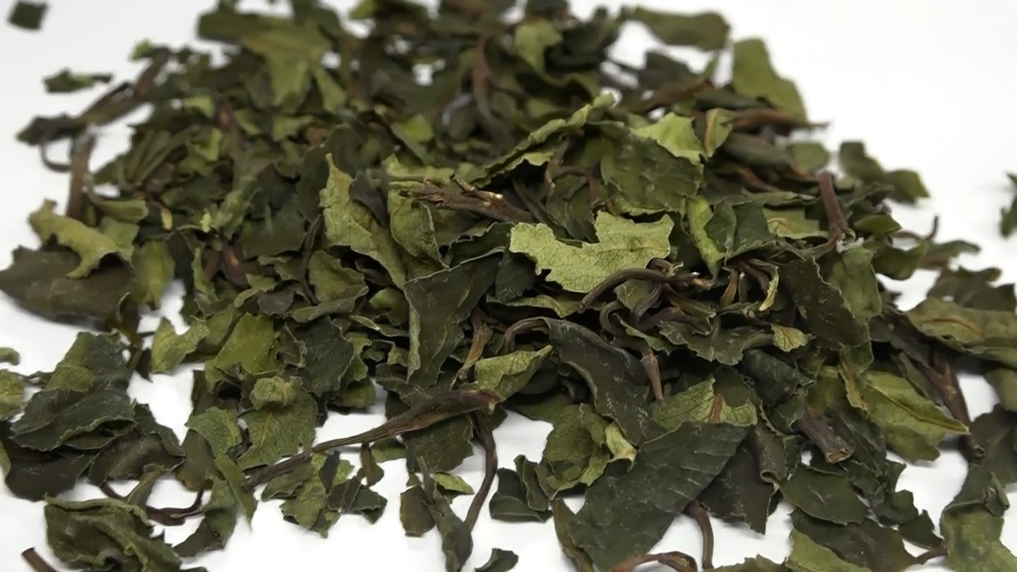 「平民海洛英」含卡西酮　台灣害命案例數起