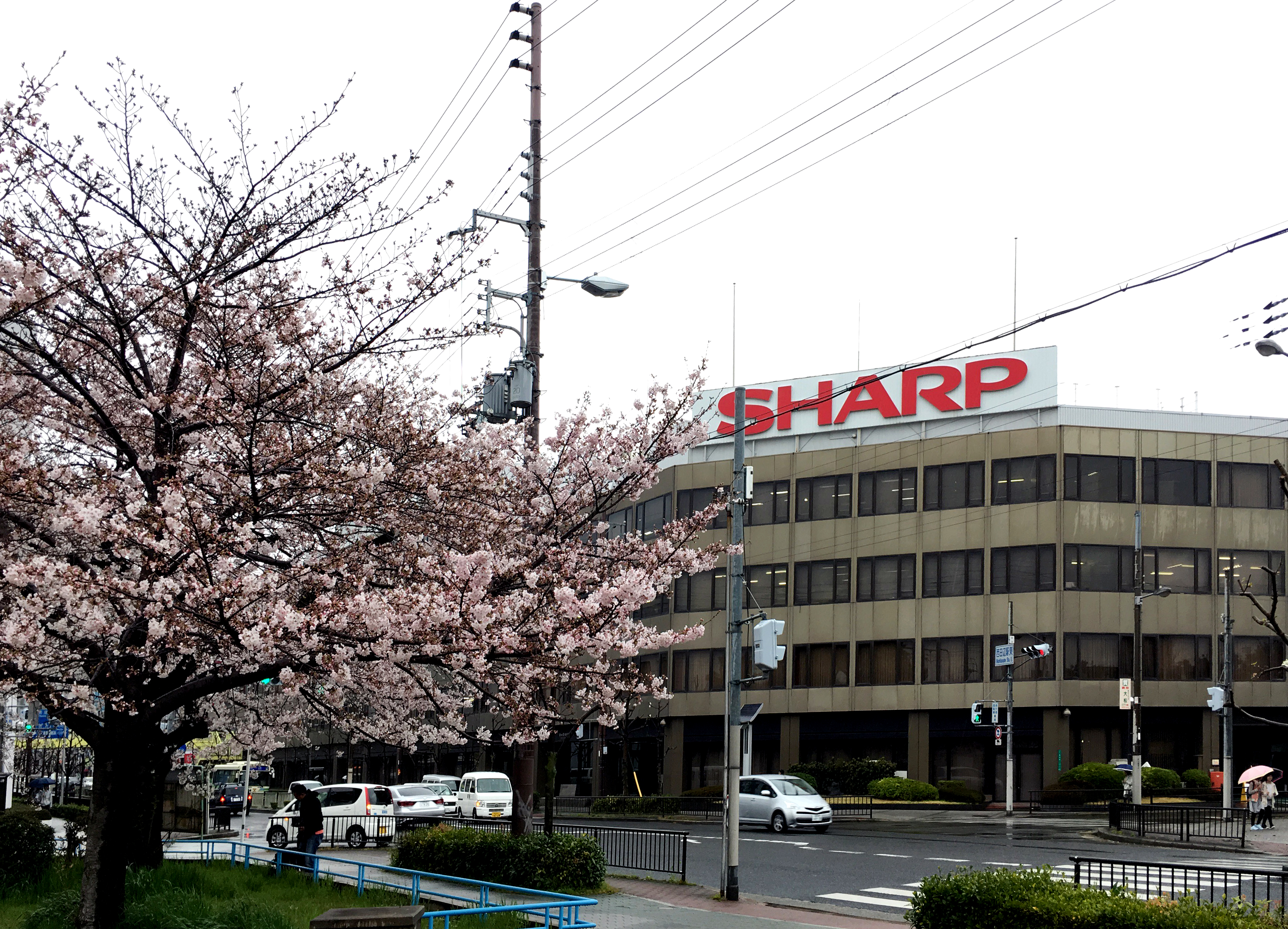 【夏普拚第一】為何郭令必行？　郭台銘麾下最神祕「金管部隊」揭密