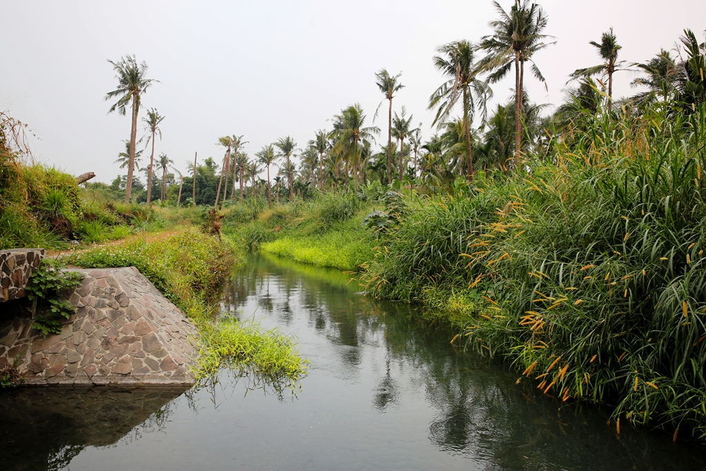 【自來水不來】高額架管費阻申請　新北4區屏縣5成無自來水