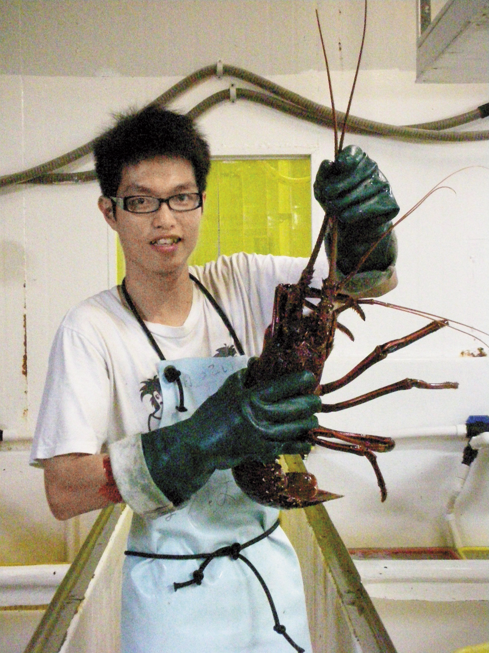 Joe在澳洲的龍蝦工廠打工，存下人生第一桶金，日後更做起龍蝦貿易生意。（Joe提供）