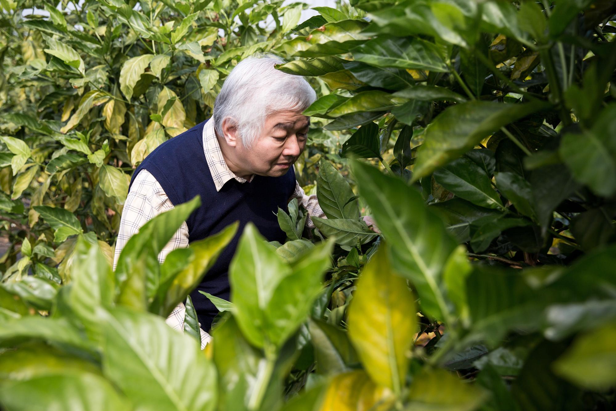 柏諦集團總裁李志誠喜愛鑽研中草藥,至今仍會上山下海做田野調查。