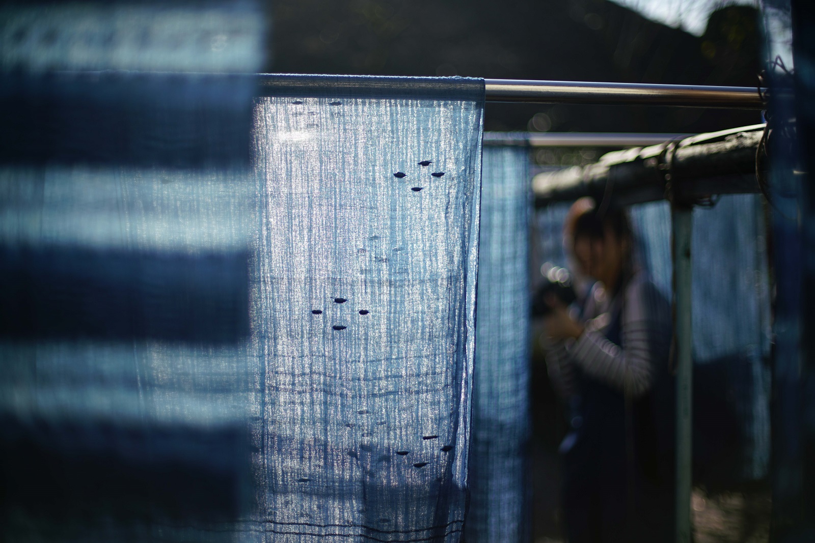 光線穿透下，日本藍染呈現動人優雅色澤。