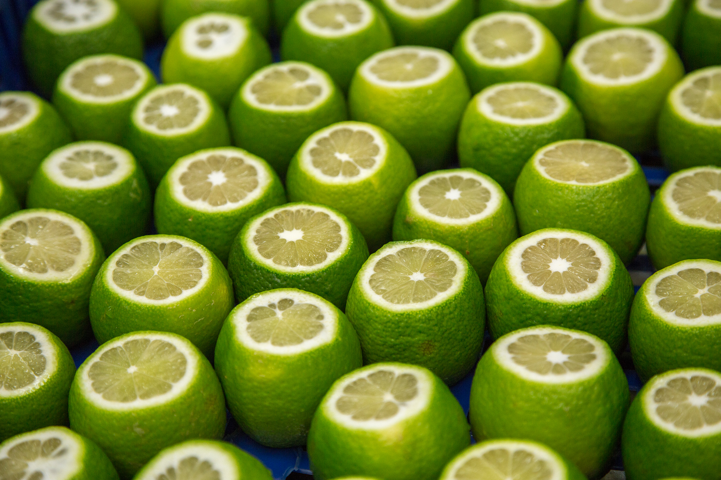 【市場快訊】台灣檸檬　有著戀愛般的滋味