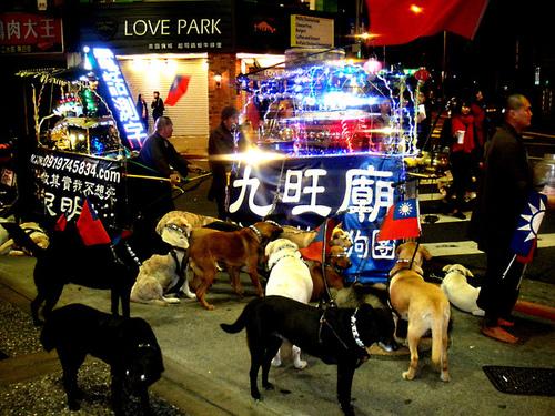 九旺廟在網路上大剌剌宣傳政治理念,還在狗背上插國旗。(翻攝畫面)