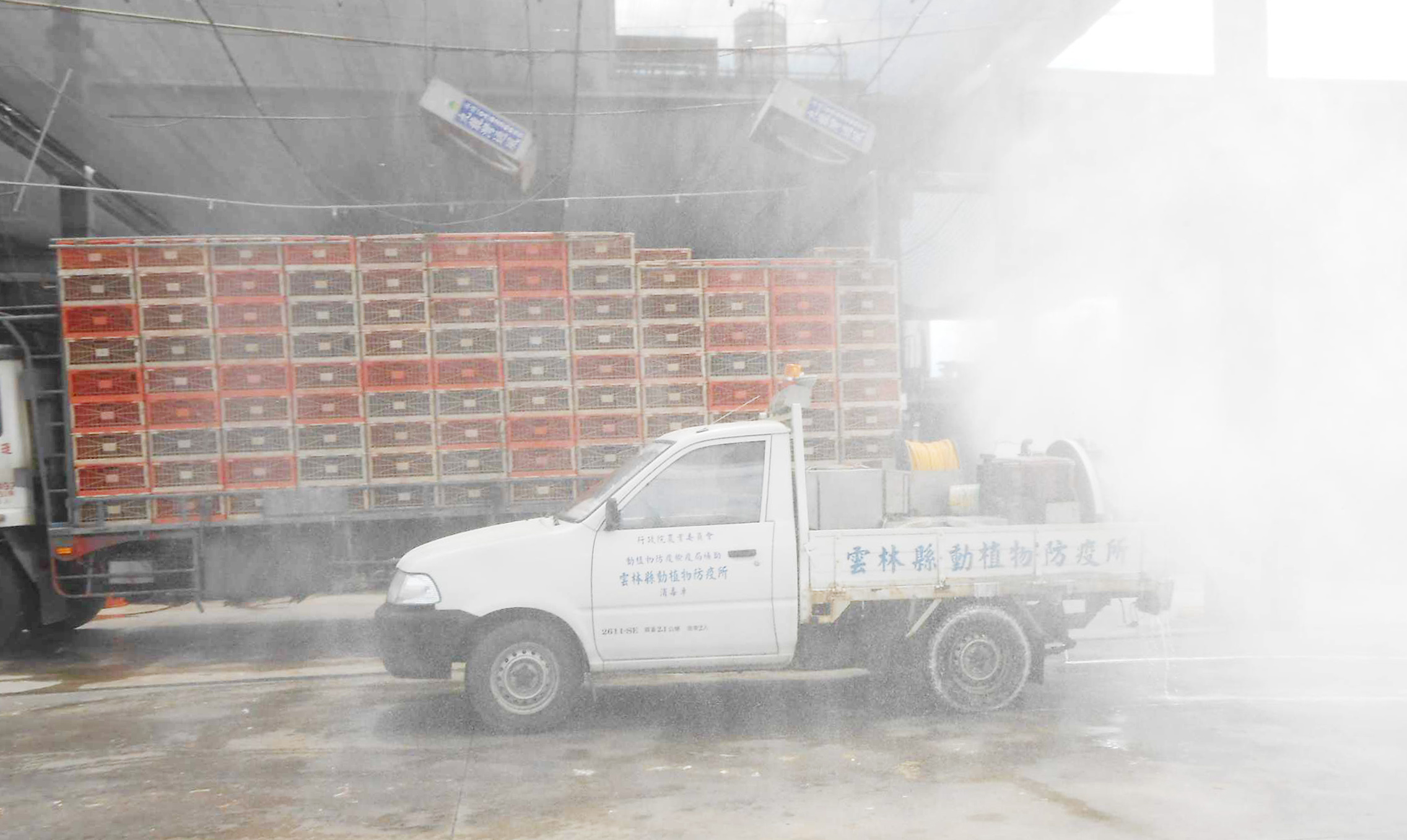 為防堵禽流感疫情,凱馨拉高自主防疫管理,車輛進出廠區都要經過清洗與消毒程序。(凱馨提供)
