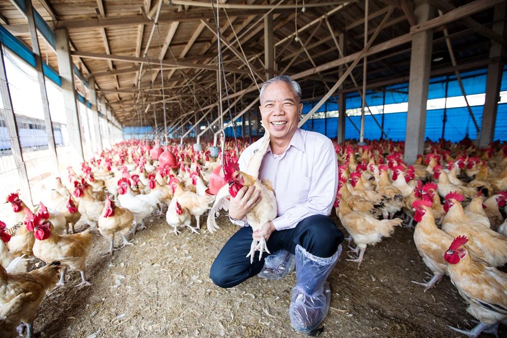 養雞近40年，凱馨實業董事長鄧進得抱雞像在抱小孩，與雞互動是他最放鬆的時刻。