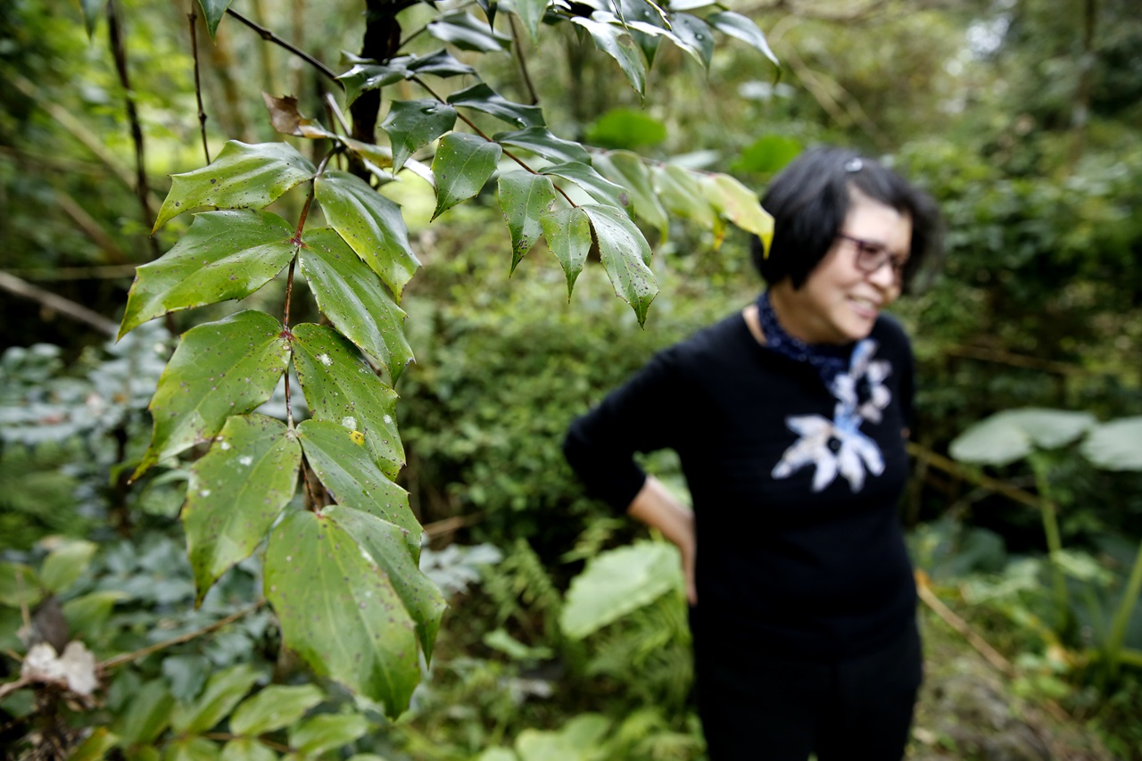 詹師姐以最純淨、無污染的方式，守護用來製作酵素的原料。