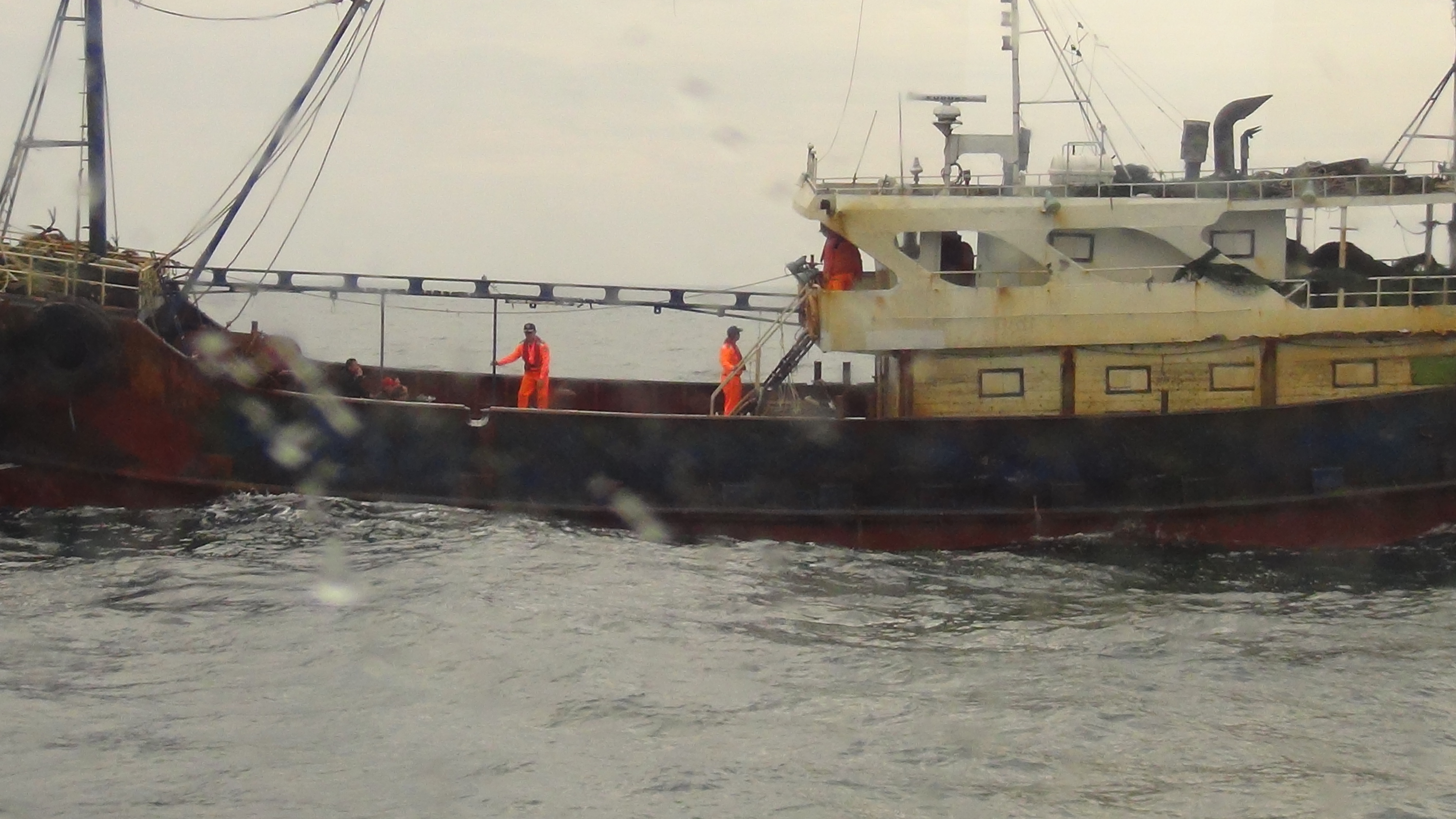 大陸漁船遭我國海巡逮獲，海巡隊在船上檢查。