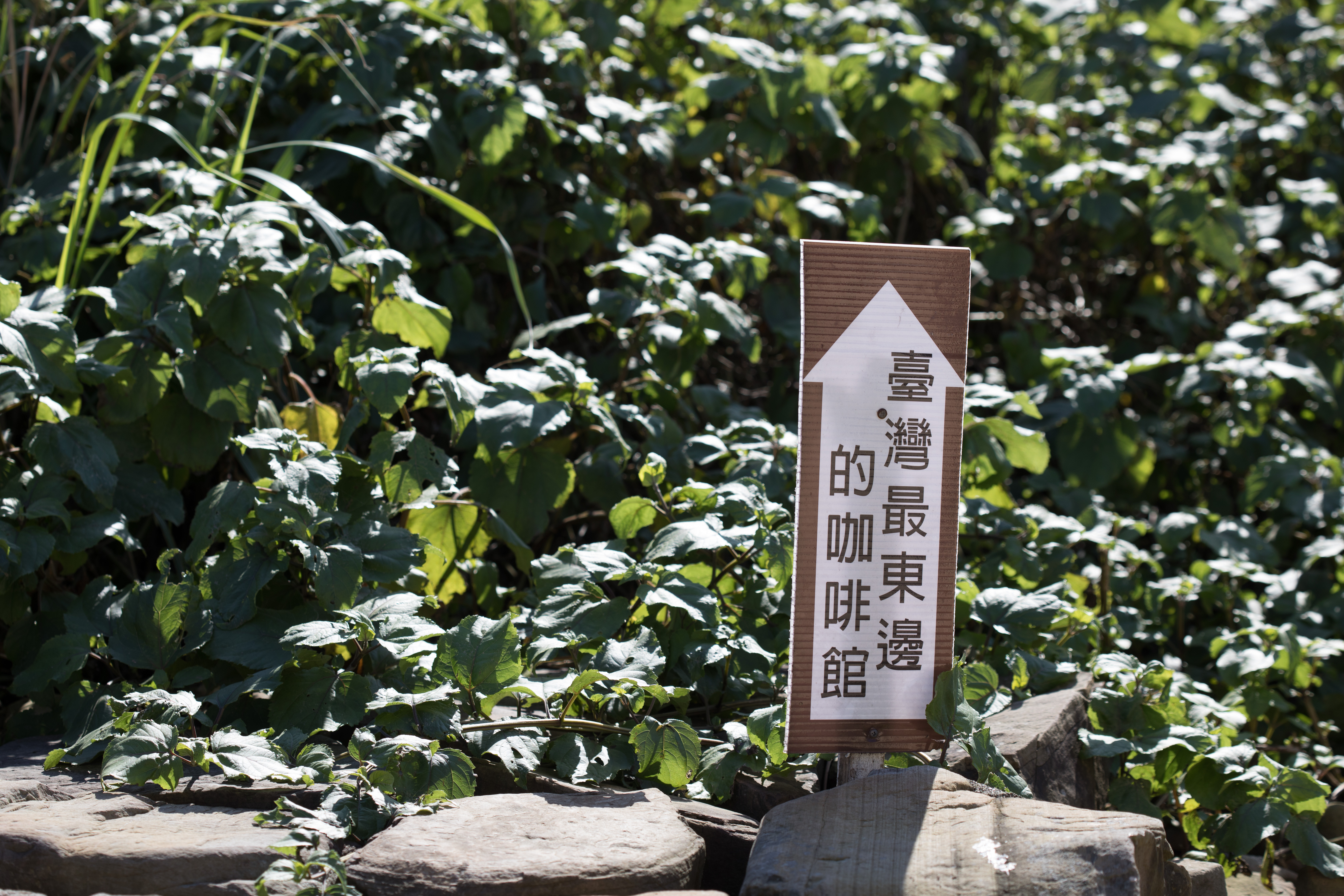 馬崗漁村可以看見的指標，只要跟著指標走，就能找到這間「台灣最東邊的咖啡館」。