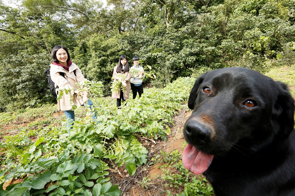 所謂「盲旅」，就是不知道行程內容，抵達指定地點後才知道有何好玩的事在等著自己。