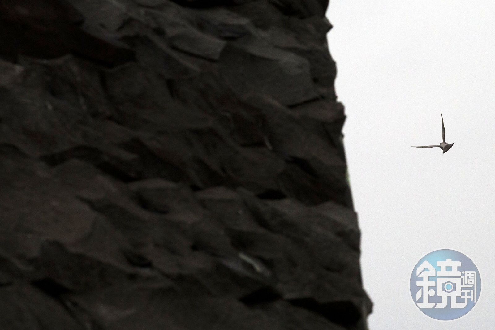 白色恐怖政府占地】壟罩全台的白色恐怖風聲鶴唳草木皆兵- 鏡週刊Mirror Media