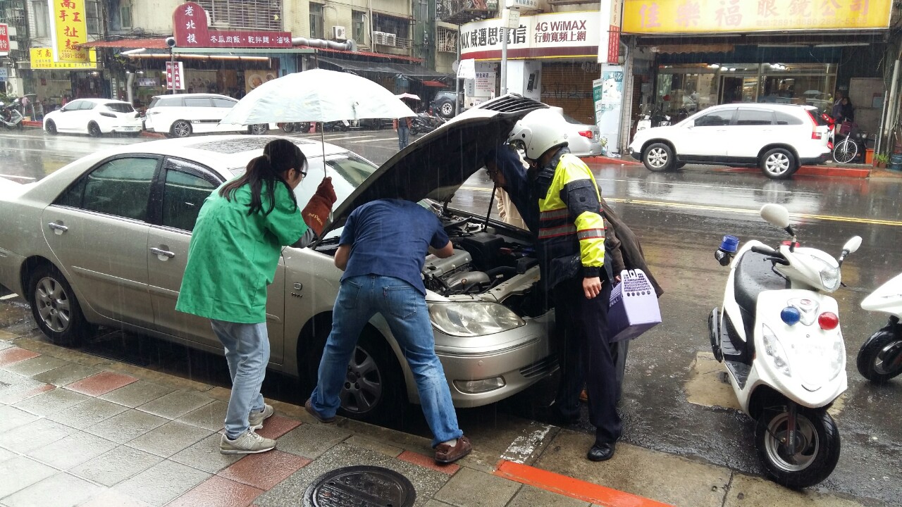 民、警、醫雨中出任務，同心協力援救受困貓咪。