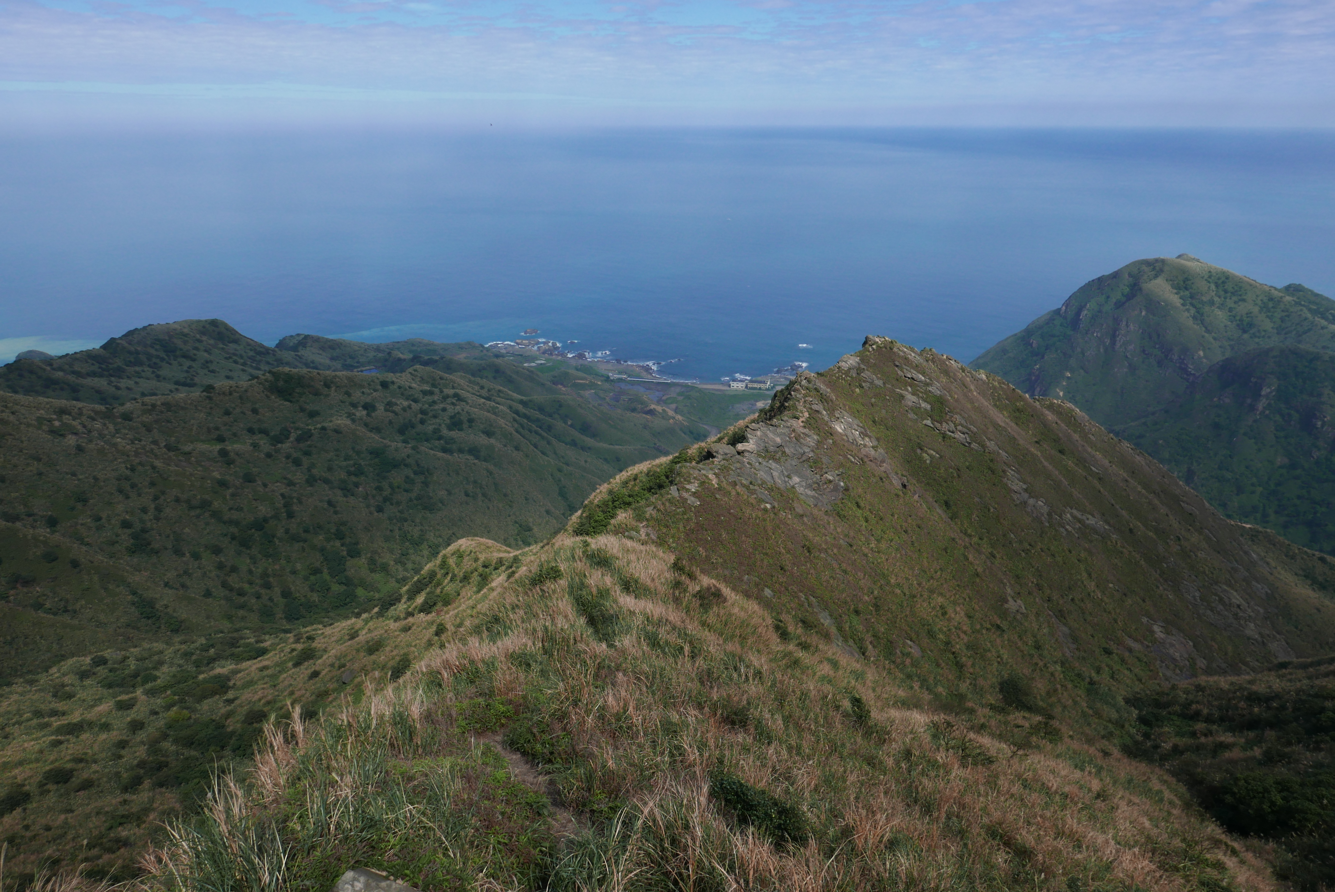 劍龍稜像條牛背的稜線。