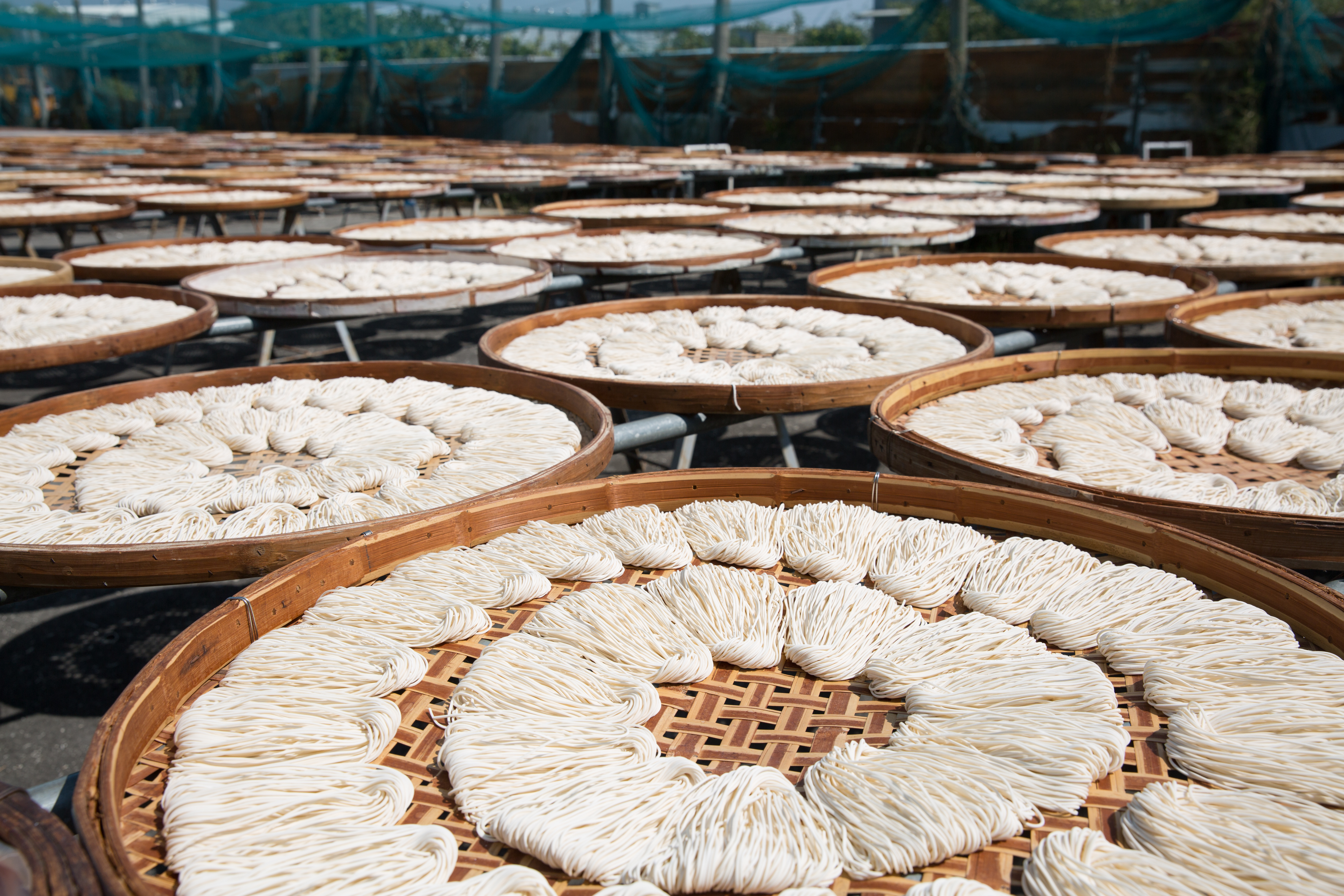 關廟麵以日光曬麵出名，幾家老店間也有親戚關係。