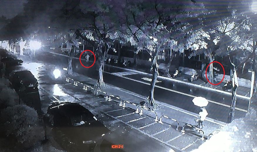 手持雨傘、穿七分褲的柯姓路人，遭轎車駕駛追逐。