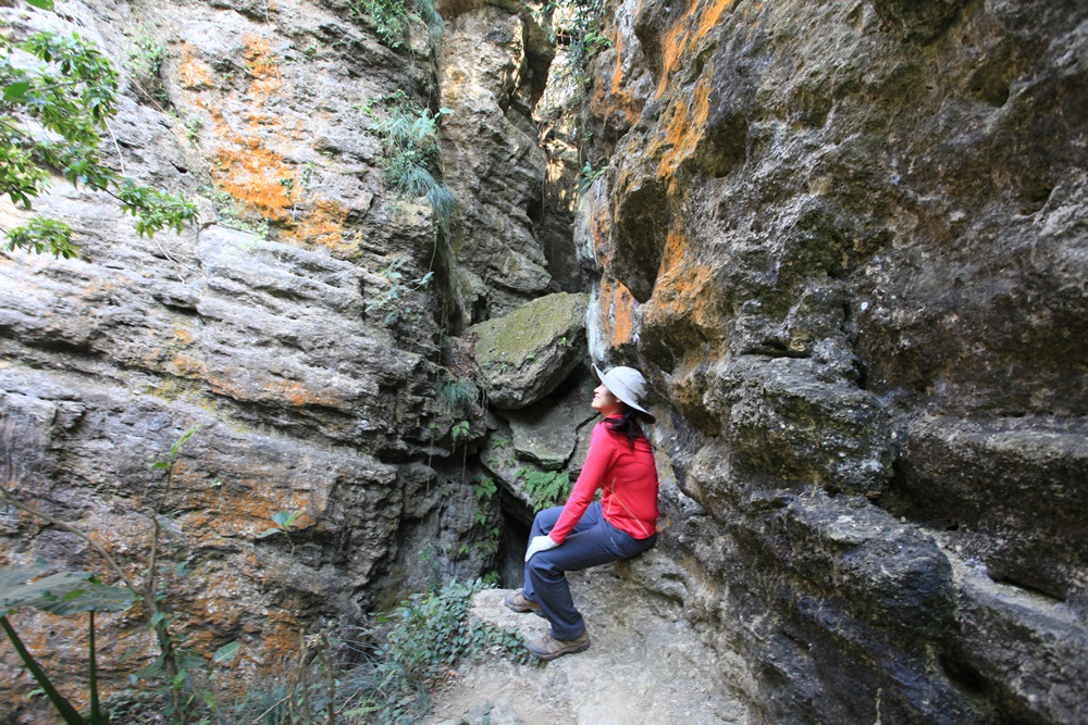 「泰國谷」是高雄柴山的知名景點。