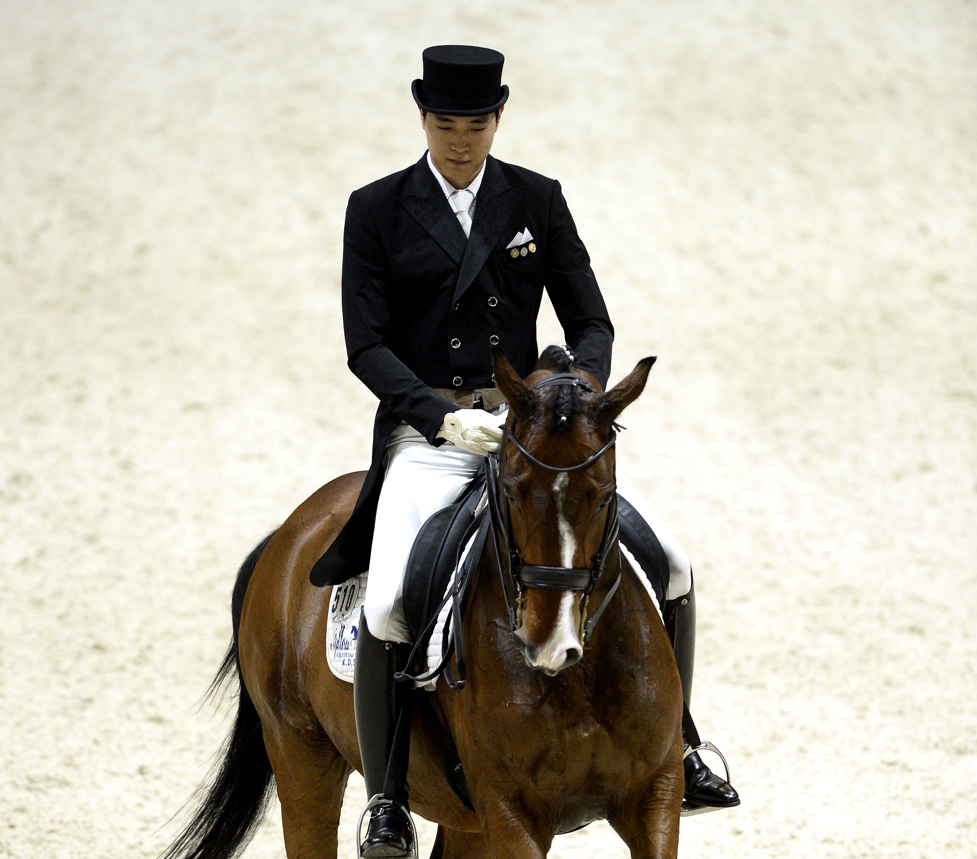 打人遭判刑的韓華集團三公子金東善，曾是馬術金牌選手。（東方IC）
