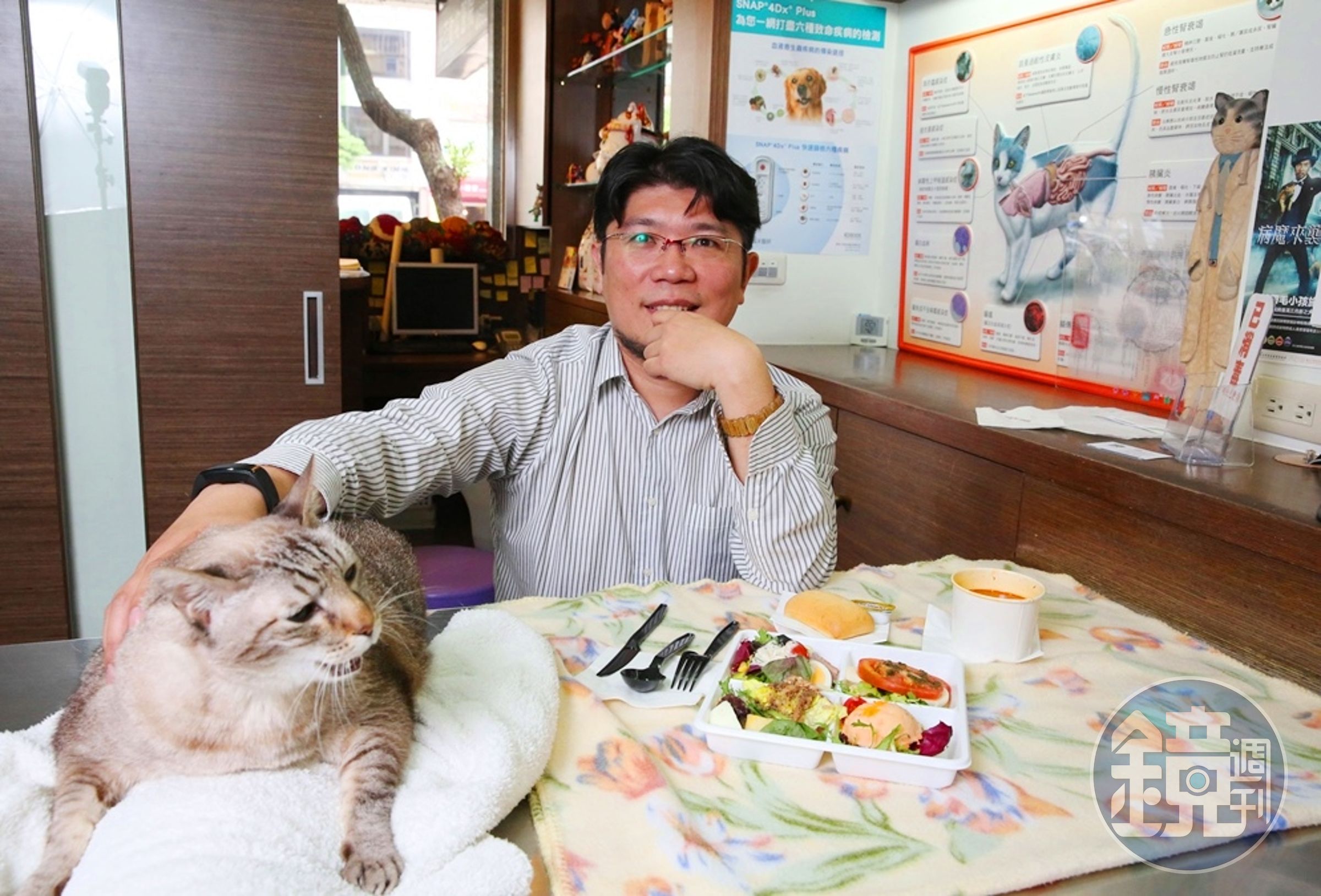 陳易成家裡有許多醫院救回來的病貓，只有診所裡的「阿蝦」是「無病領養」。