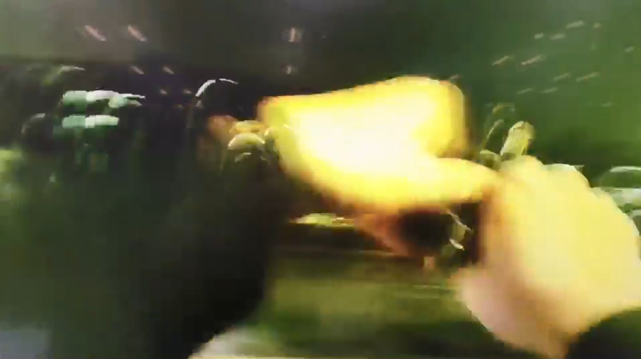 員警見嫌犯攔檢不停,對空鳴槍後又朝輪胎連開2槍,讓嫌犯車輛失控停下。