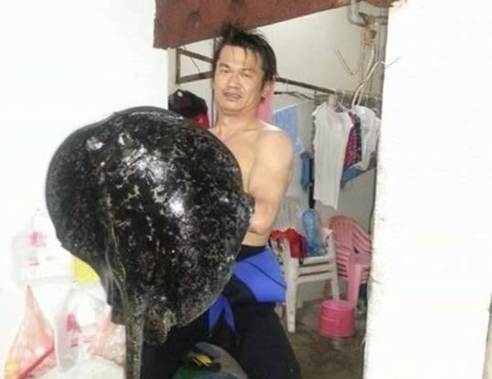 阿憲民宿負責人陳明憲射殺保育類龍王鯛，遭判半年徒刑，併科罰金30萬元。