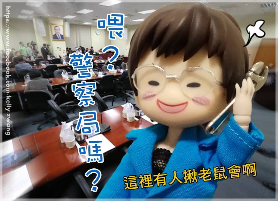 洪秀柱表示，她主張設籍同一戶口的大量黨員都要嚴查，但需尊重中常會。圖取自網路