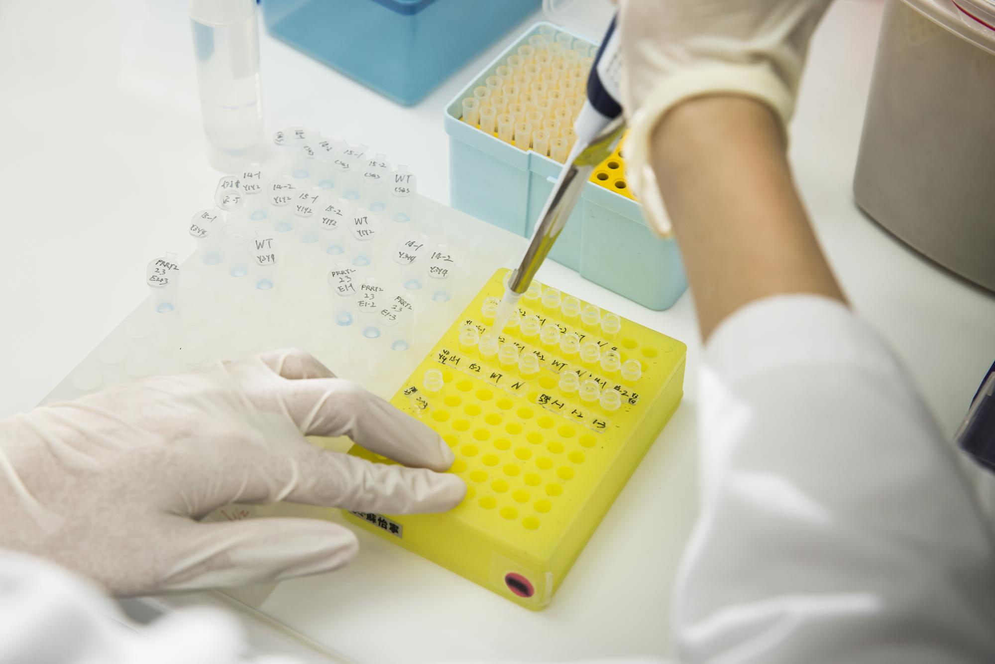 慧智基因能診斷超過1000種基因異常，分裝後的DNA，依據客戶指定的基因檢測，在DNA內加入不同試劑，以進行後續檢測。