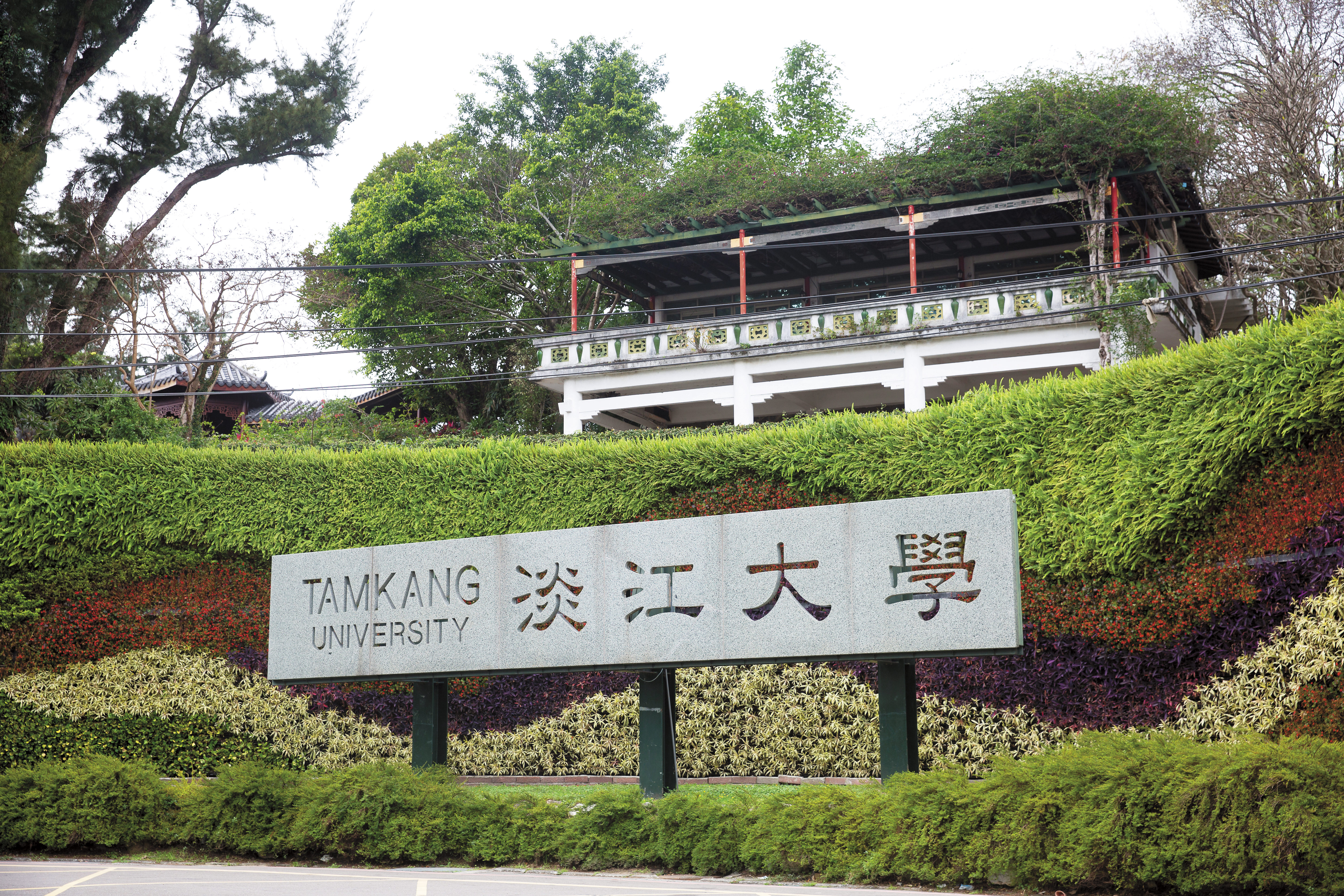 淡江大學有「私校龍頭」美譽，卻帶頭作亂當慣老闆，另有多所私立大專院校都動作頻頻。