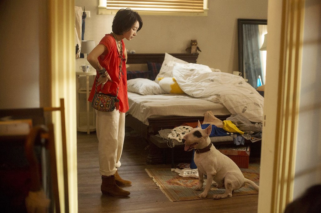 周冬雨和金城武雖然在《喜歡你》談起戀愛，但戲外周冬雨對金城武很無感，反倒天天黏著片中狗演員「老板」不放。