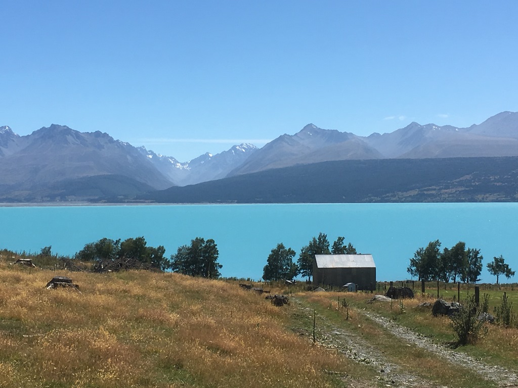 庫克山腳下的Pukaki湖。