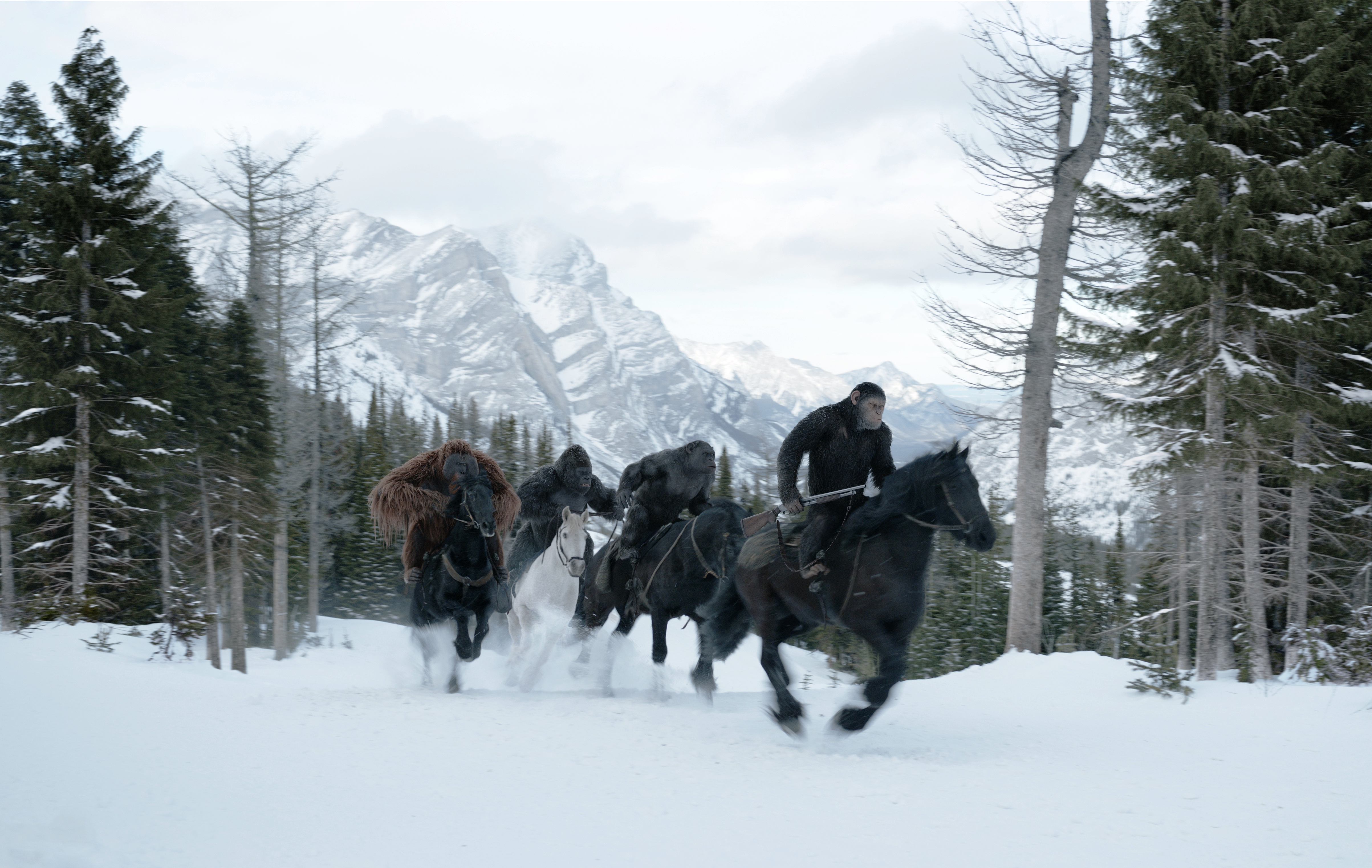 在天寒地凍的環境中，所有的物種在爭奪有限的生存資源，引爆了最後的戰爭。