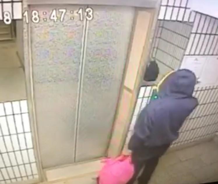 藝人江蕙的弟弟遭襲擊,江蕙衝上前與歹徒拚命,奪下歹徒手中的刀,虎口割傷,頭部撞地受傷。