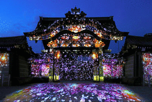 二条城趁著櫻花花期推出了絢麗的燈光秀活動。