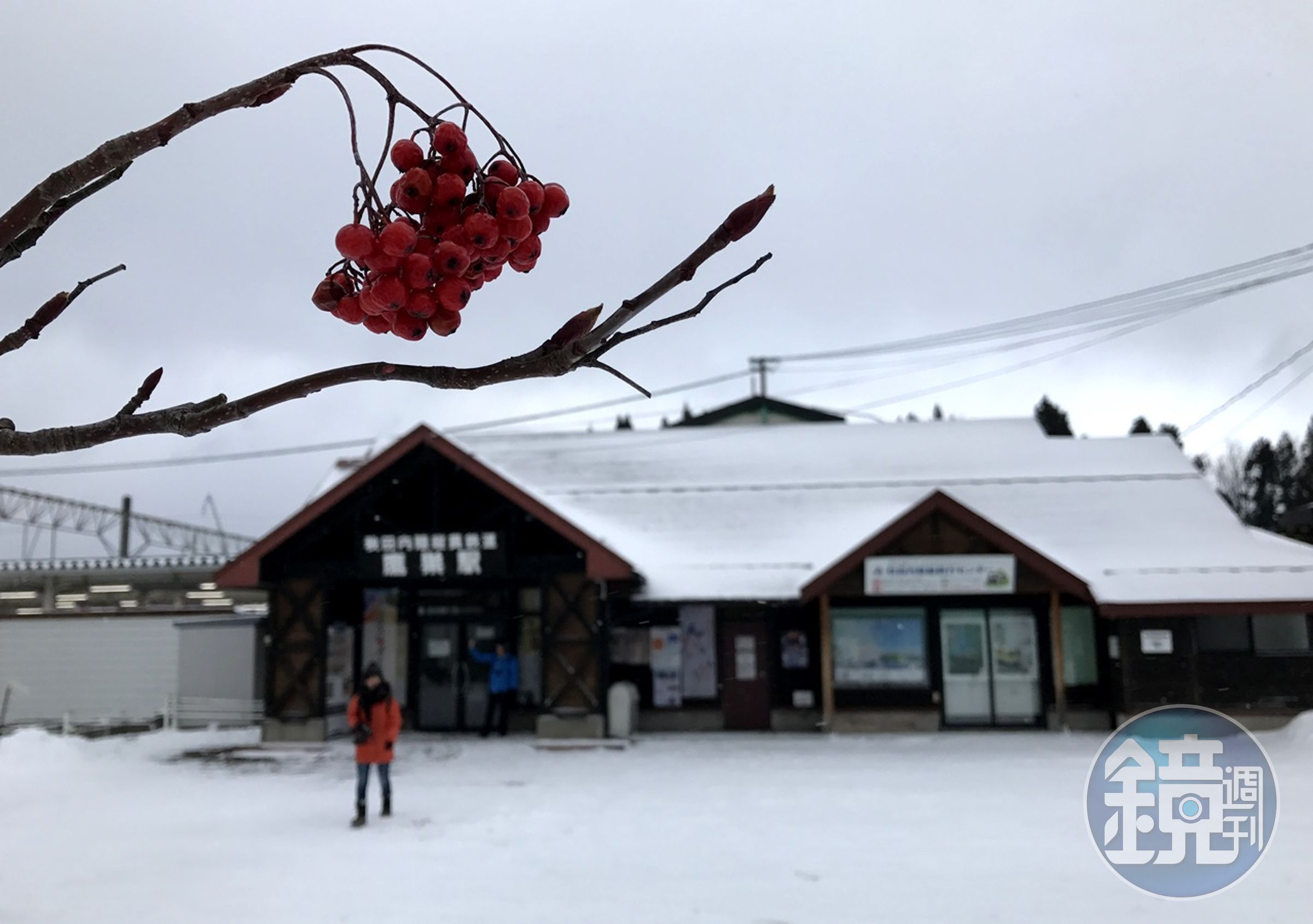 雪中鷹巢站，枝頭火棘是黑白之外唯一的點綴。