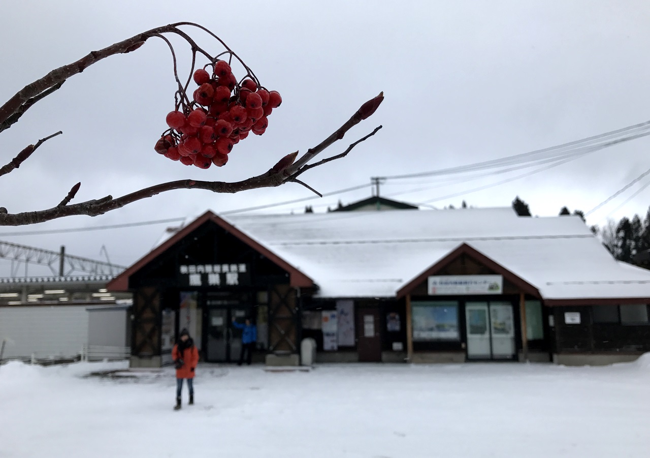 雪中鷹巢站，枝頭火棘是黑白之外唯一的點綴。