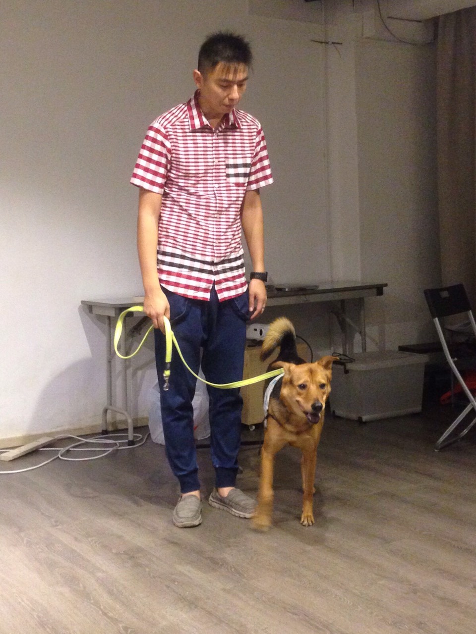 犬類行為專家熊爸王昱智(翻攝自臉書)。