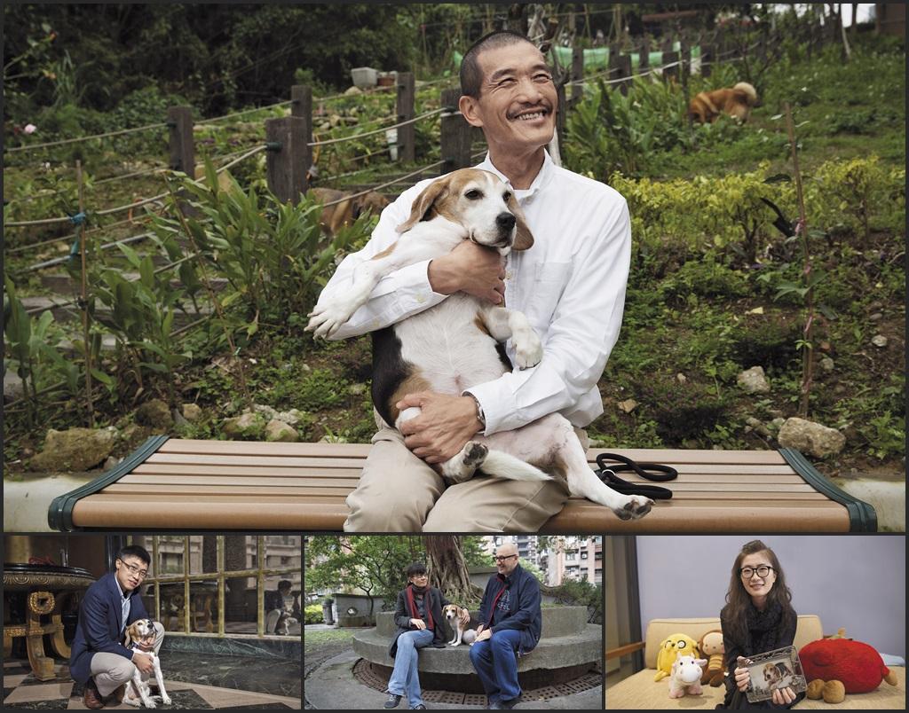 2014年1月，8隻米格魯實驗犬透過記者會徵詢認養人，希望擁有實驗室外的溫暖家庭。