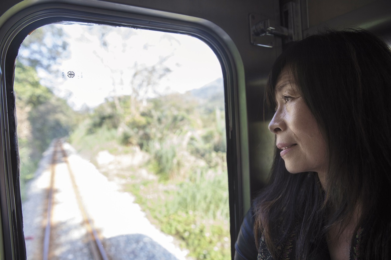 父親過世後，平路才得知自己非母親親生，開始長達3年的尋母之旅。