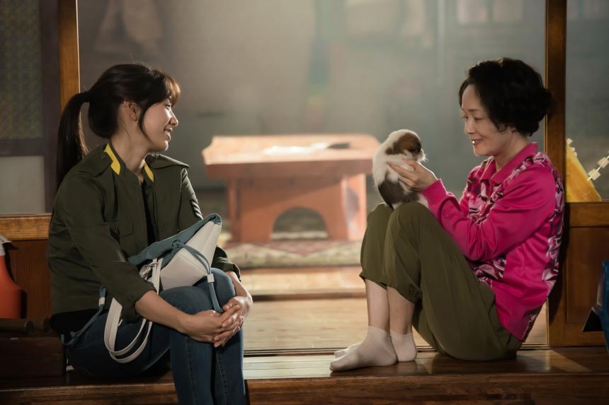 《Doctors》飾演將朴信惠撫養長大的奶奶,也因為奶奶的手術失敗,讓朴信惠踏上學醫之路。(網路圖片)