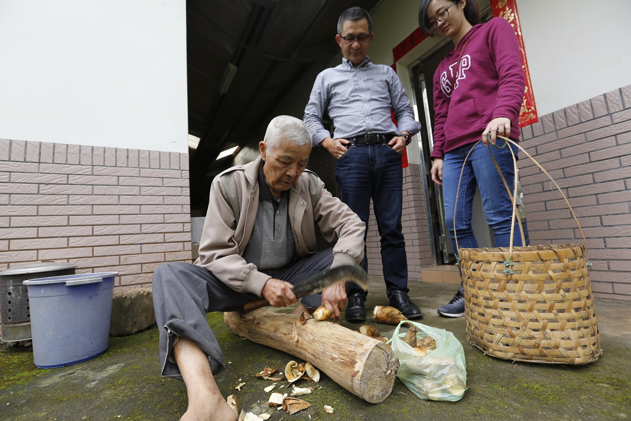 林爸爸堅持挖出新鮮竹筍讓兒子、孫女帶回台北品嘗。
